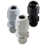 Cable Glands